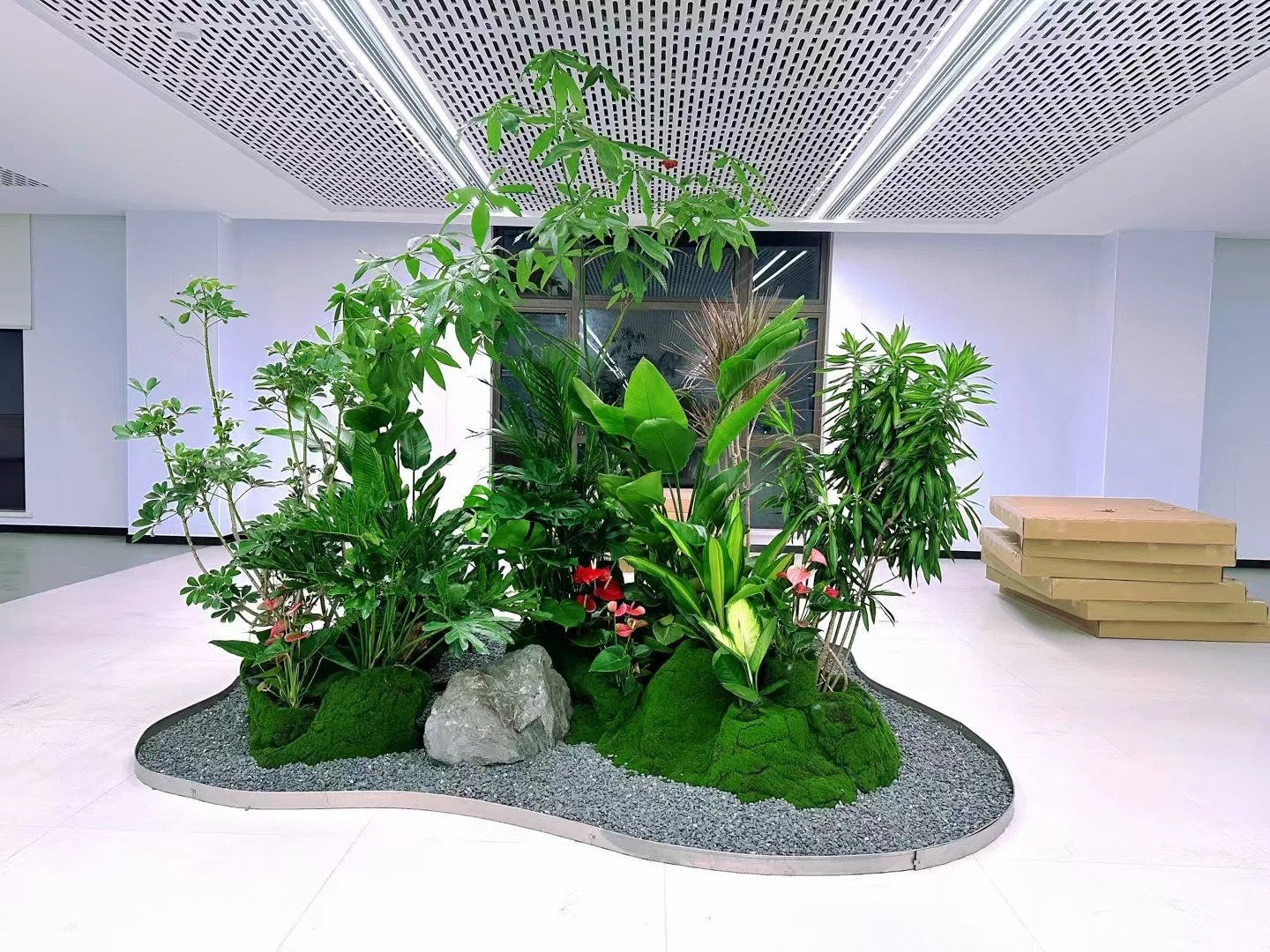 了解奉化植物出租方案,让绿植点亮生活!